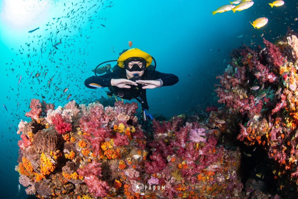 SSI Perfect Buoyancy diving