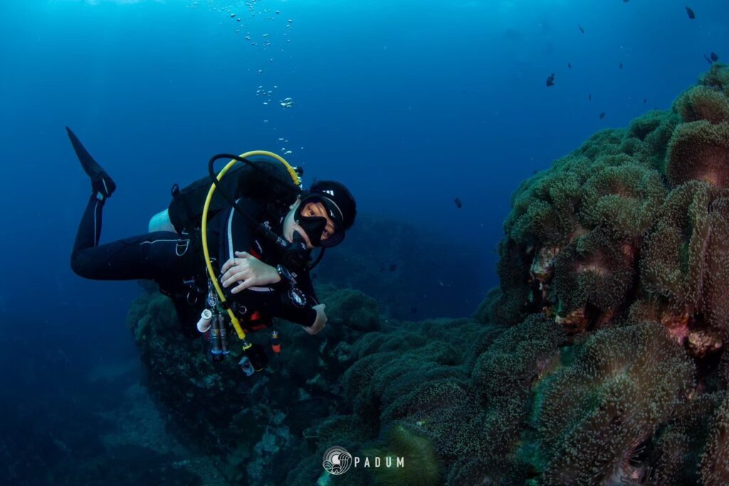 CHUMPHON – KOH TAO 2025