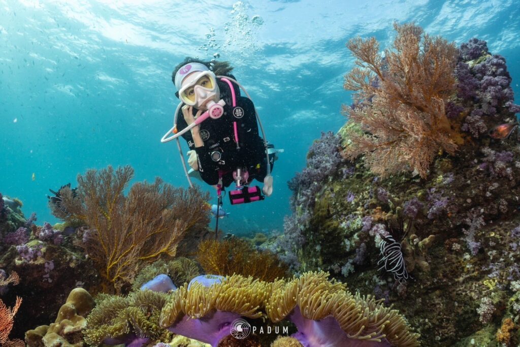 LIPE JUL 2025