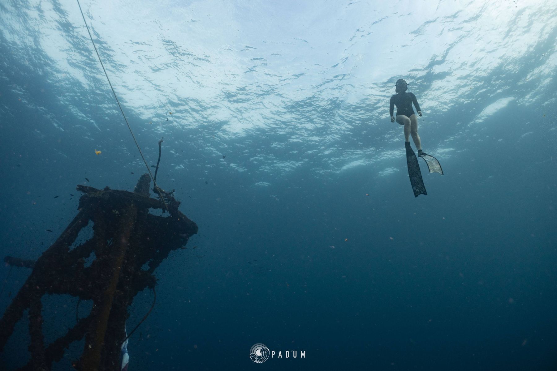 Freediver