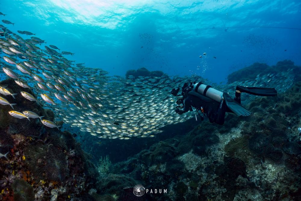 Koh Tao