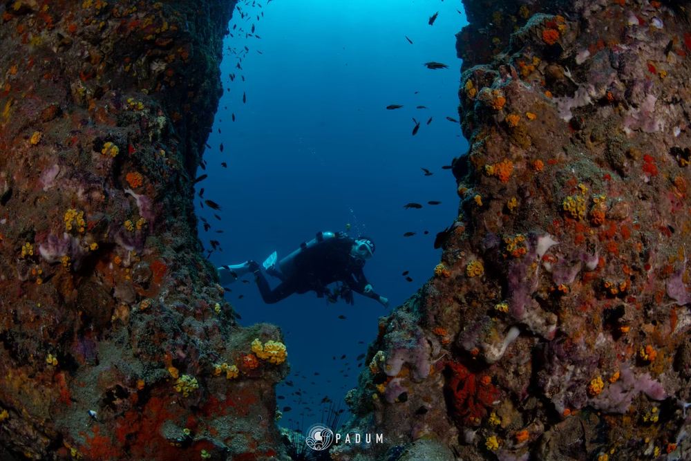 Koh Tao