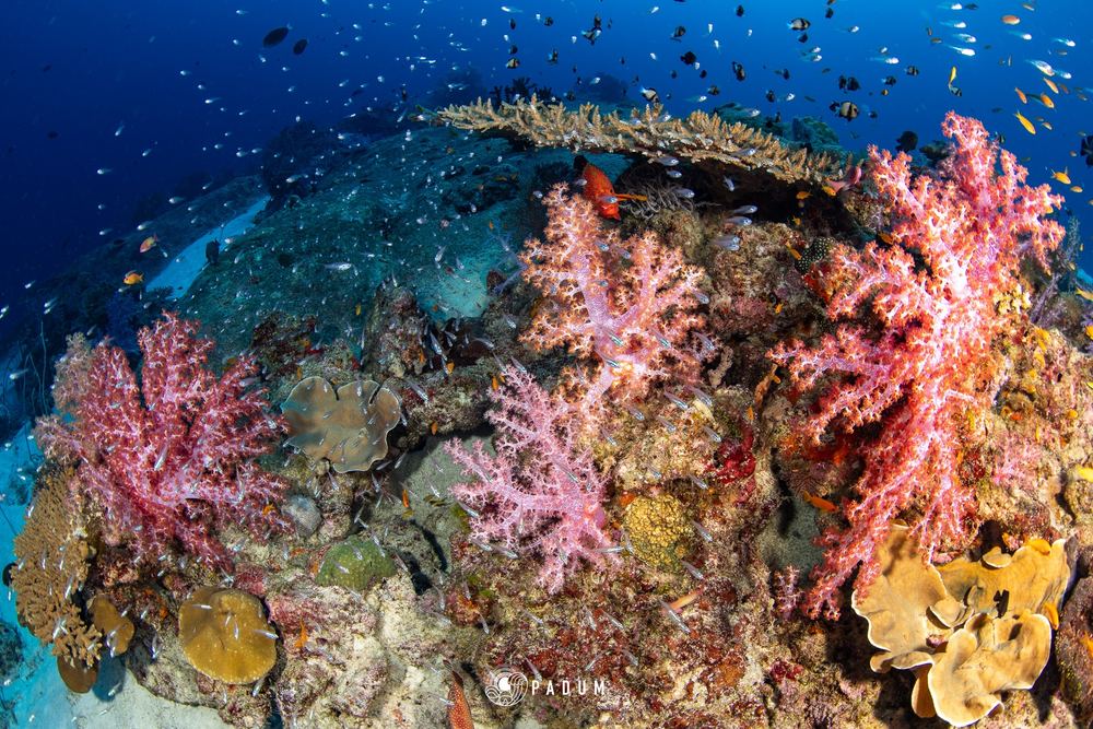 North Andaman