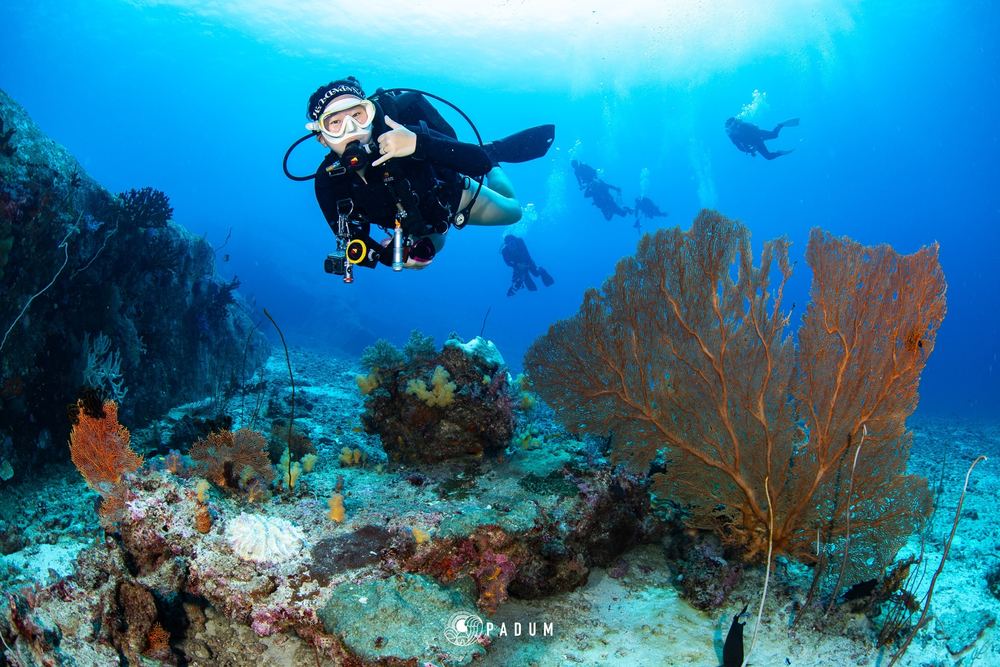 North Andaman