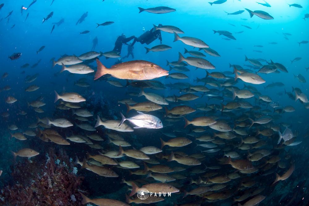 North Andaman