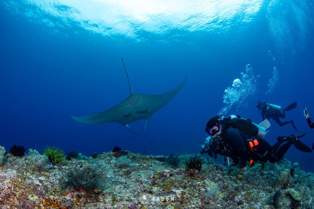 Raja Ampat