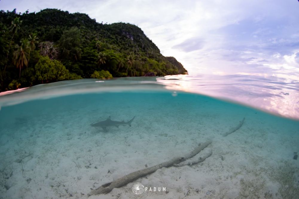 Raja Ampat