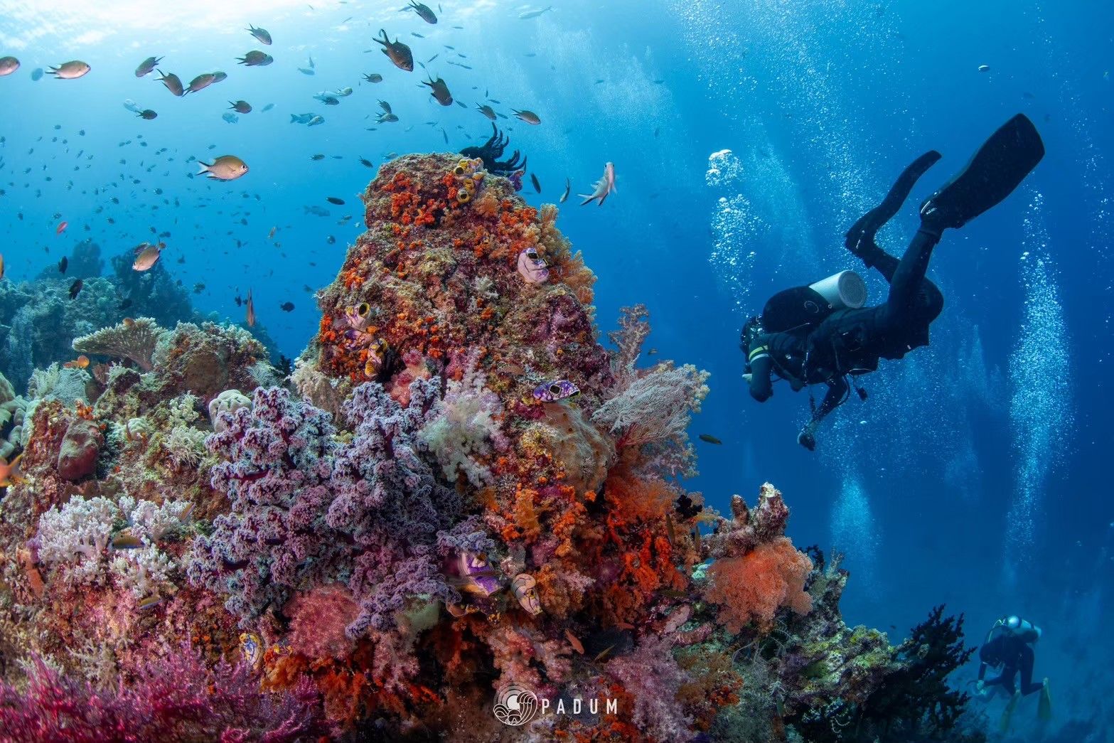 Raja Ampat