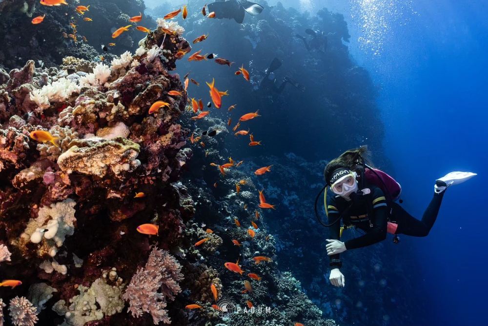 Red Sea