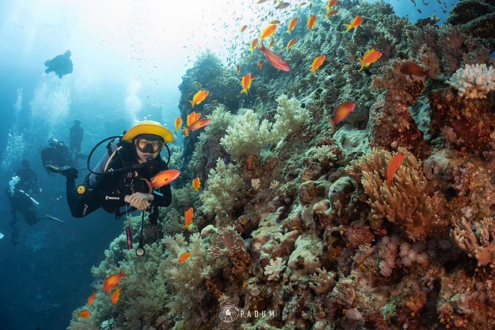 Red Sea