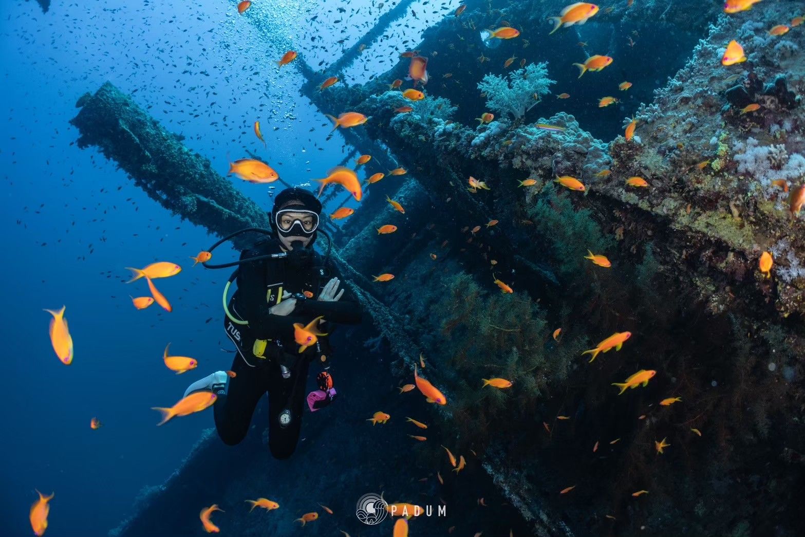 Red Sea