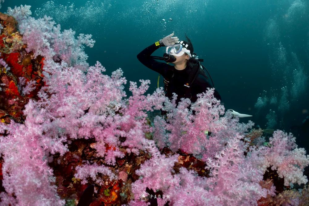 South Andaman