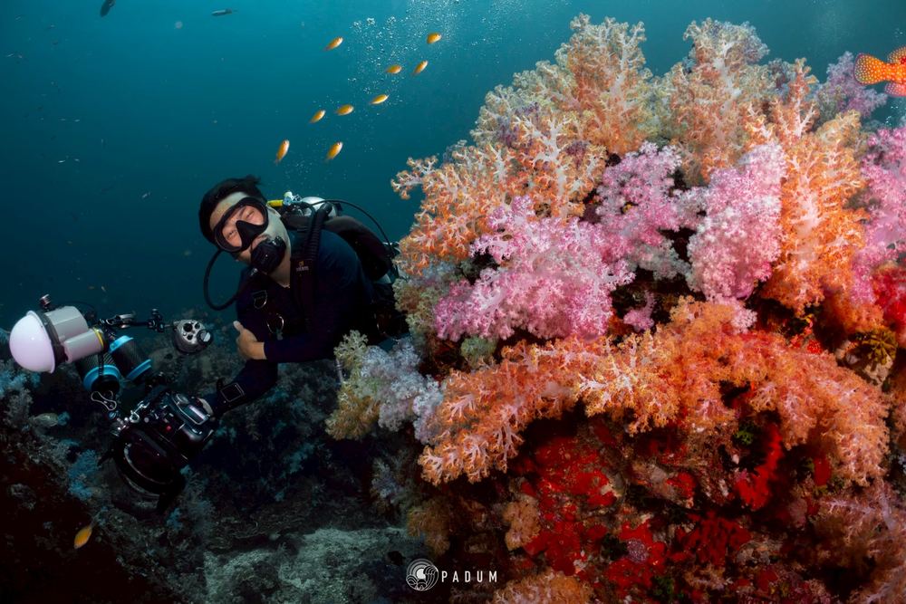 South Andaman