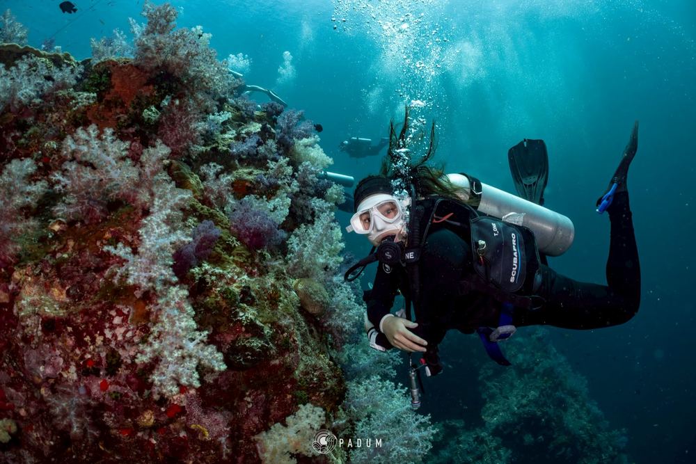 South Andaman