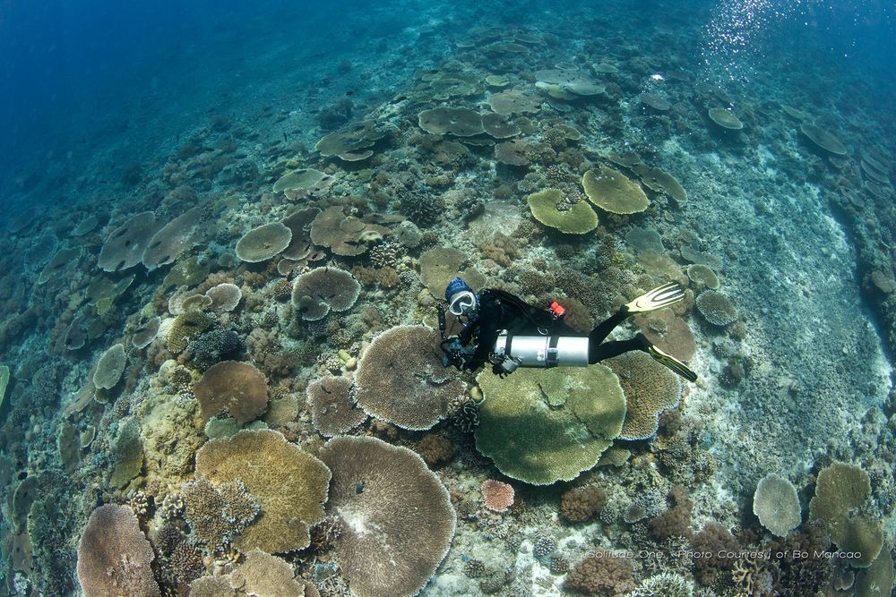 Tubbataha