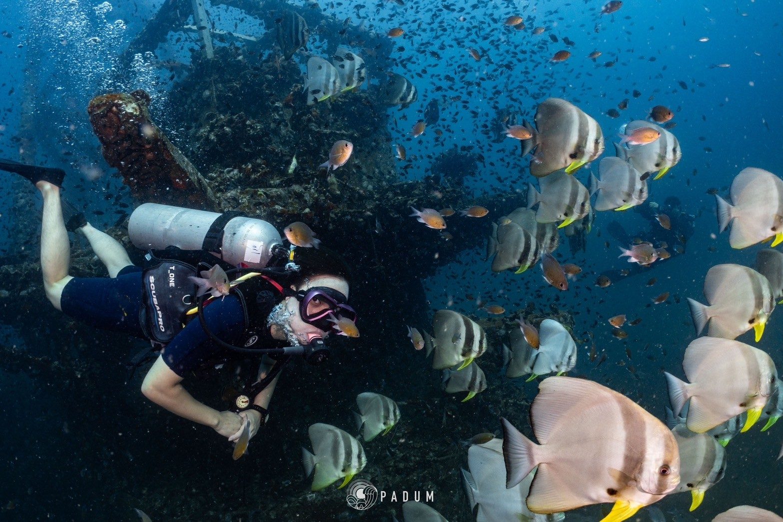 วางแผนดำน้ำเกาะช้างกับ Padum Diving