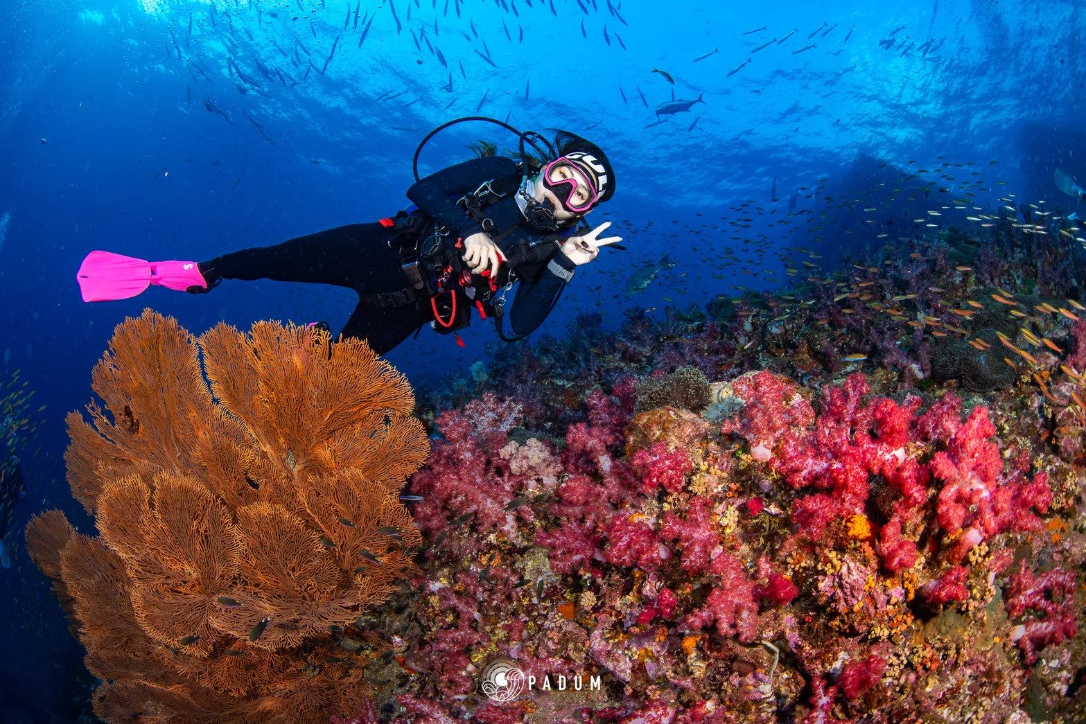 2. Richelieu Rock – อันดามันเหนือ
