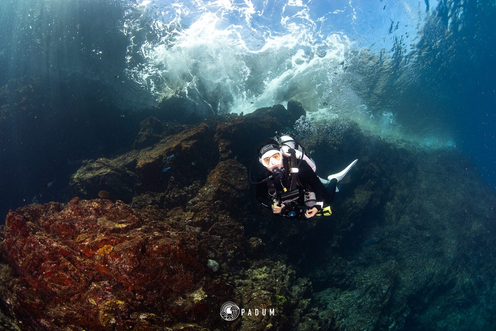 หลังเรียน Open Water แล้ว เรียนอะไรต่อ? เส้นทางนักดำน้ำตั้งแต่มือใหม่
