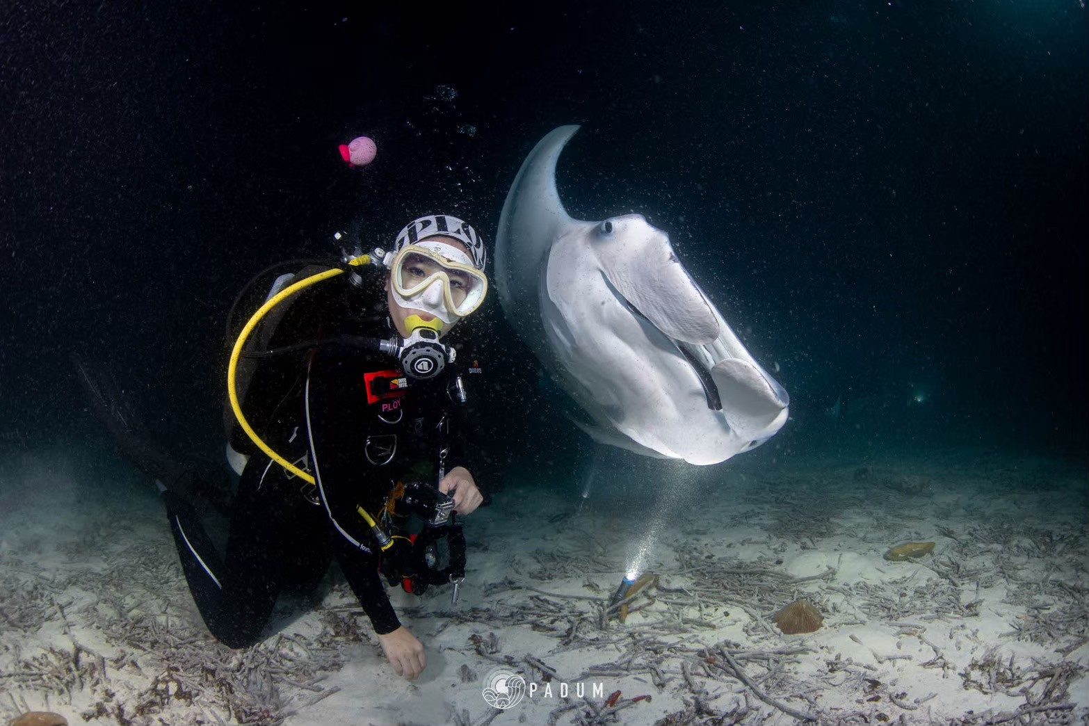 Step 6 — International Diving