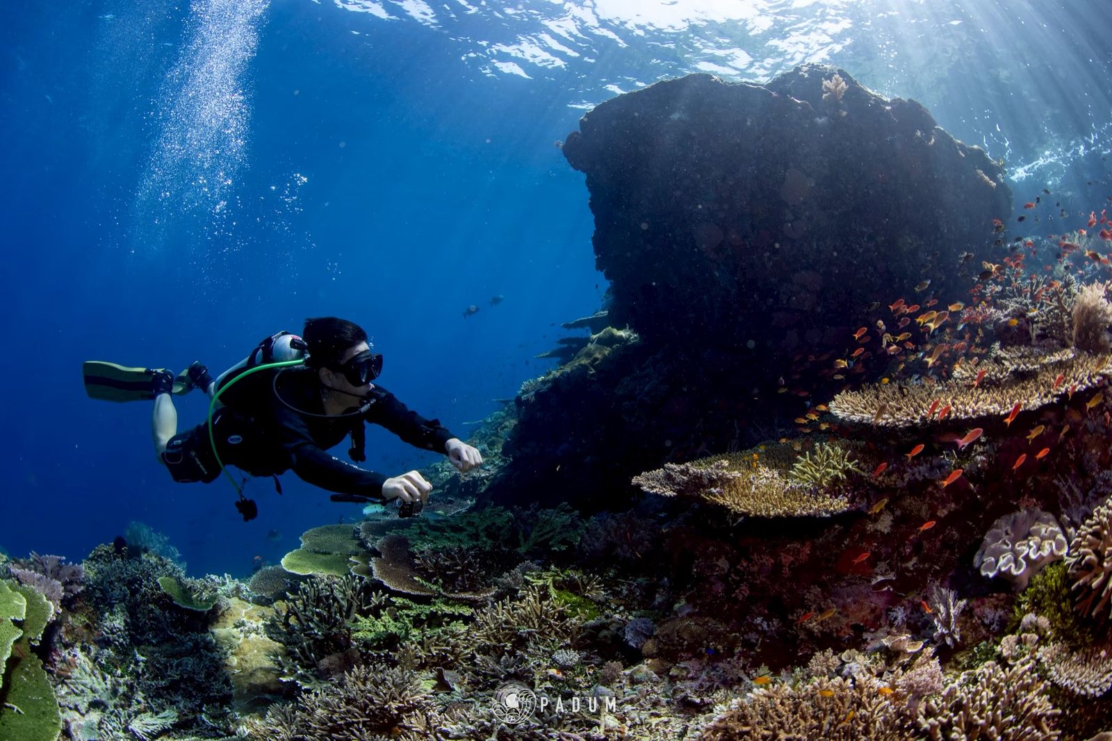 ทำไม Padum Diving ถึงกำหนด 50 Dives ขึ้นไป?