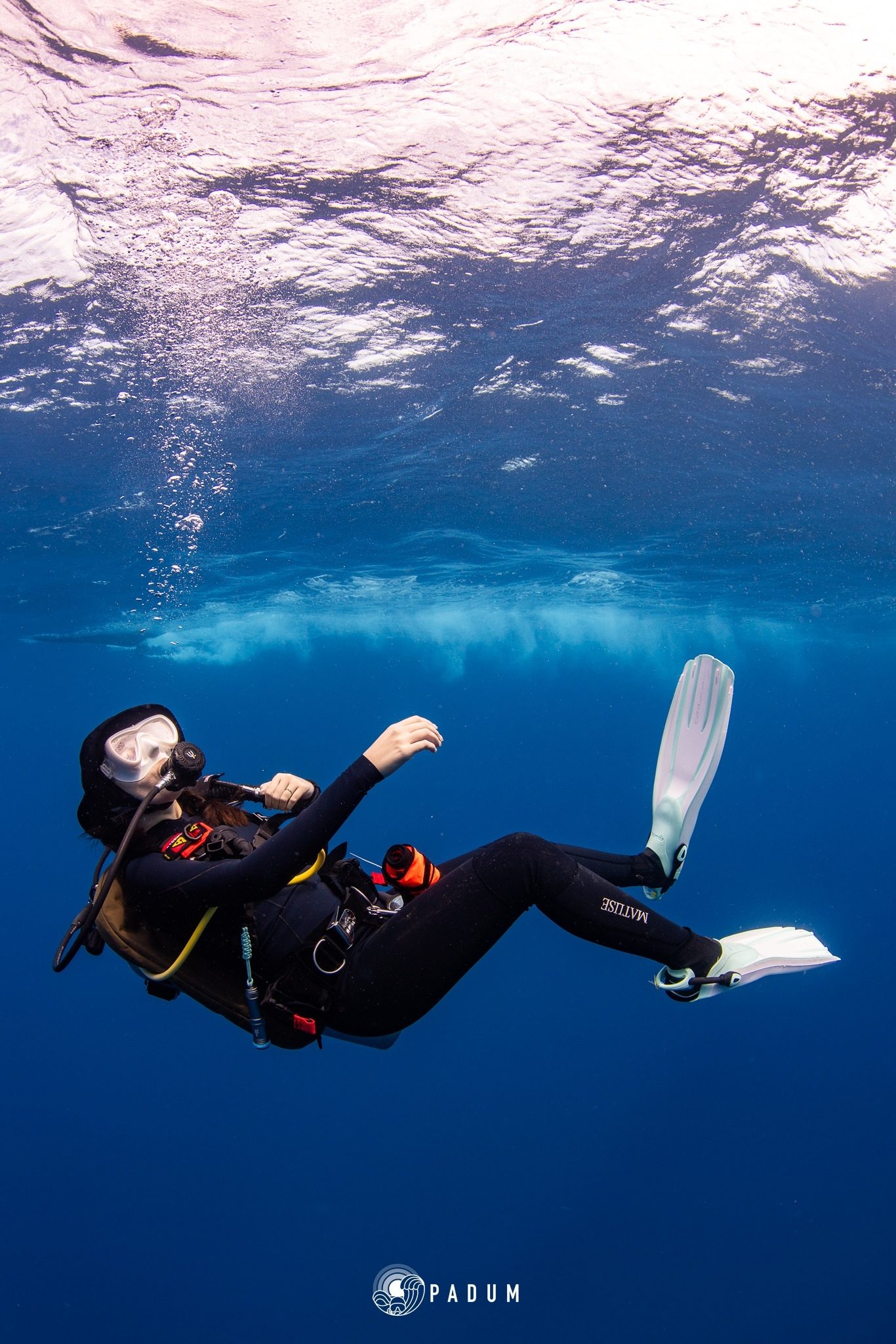 เรียนดำน้ำ Open Water คืออะไร? มือใหม่ต้องเรียนอะไรบ้าง