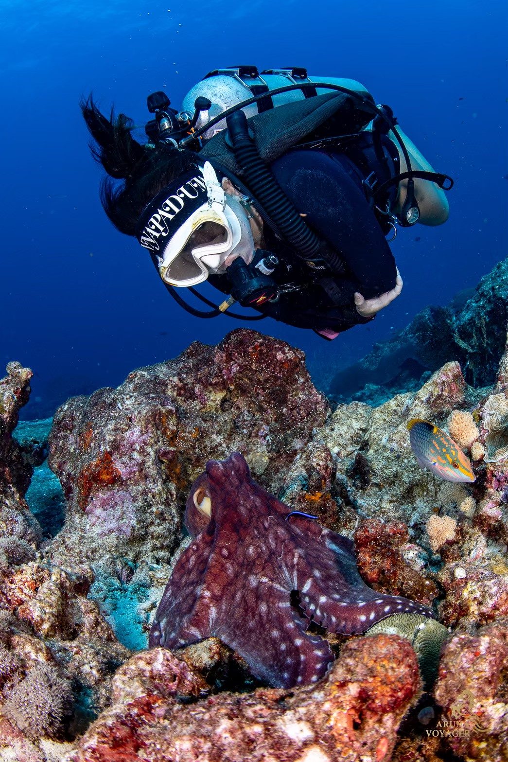 3. Open Water Training