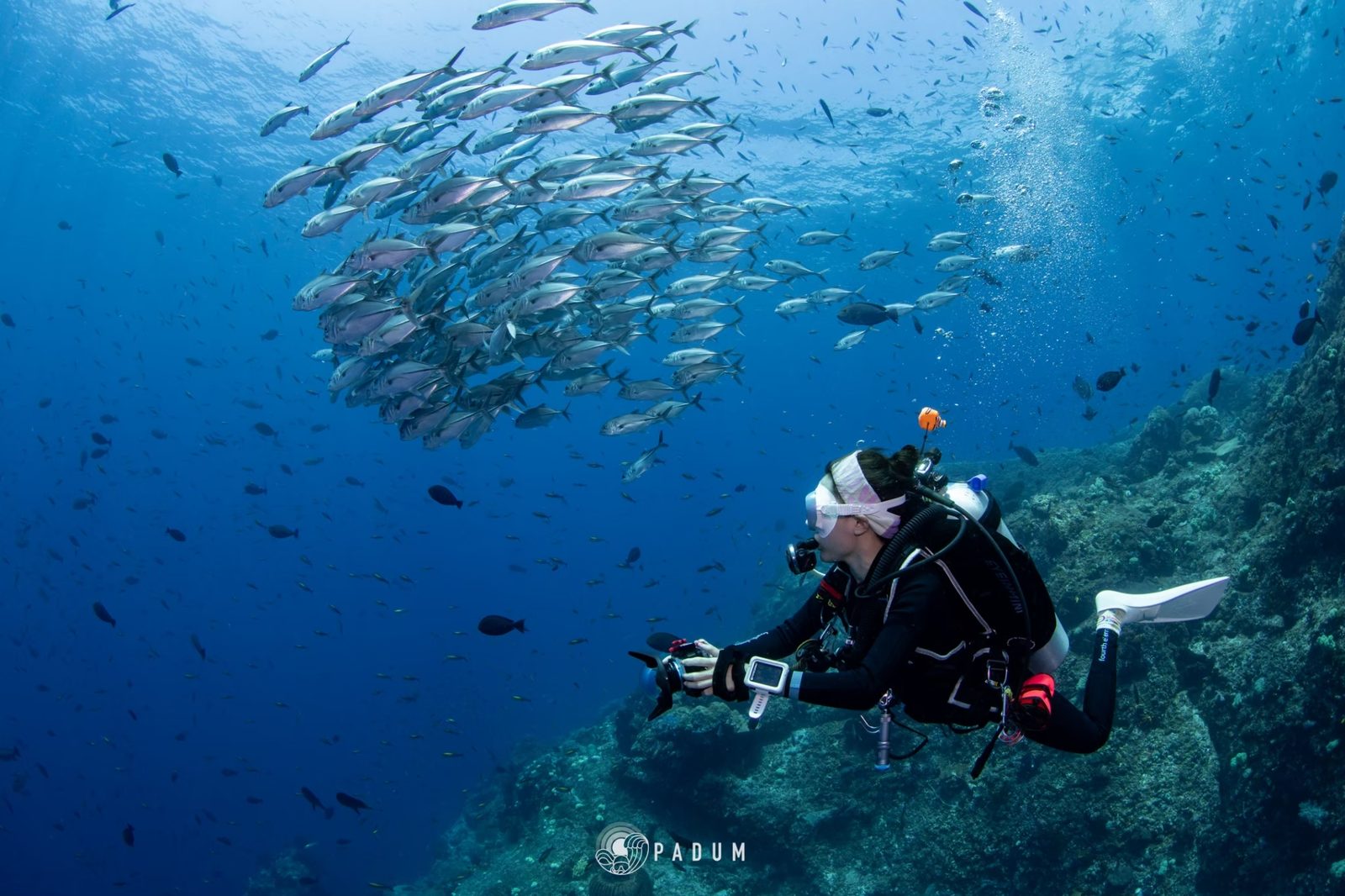 2. Raja Ampat — ความหลากหลายของโลกใต้น้ำ